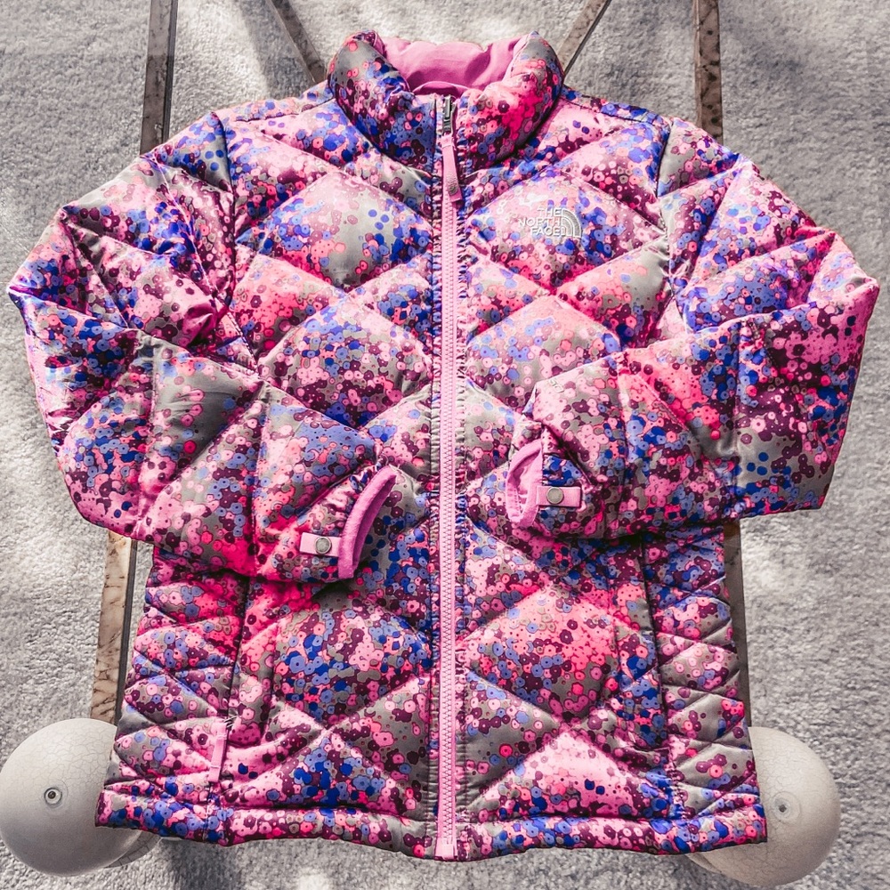 North Face Winter Jacket
